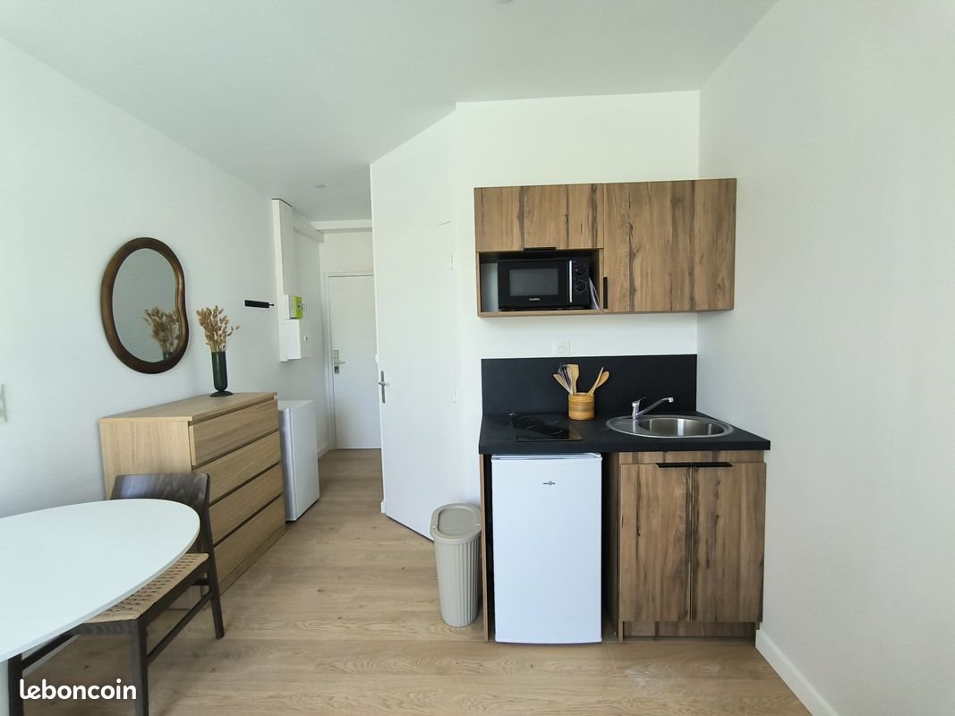 Appartement à louer, 19m², Saint-Etienne