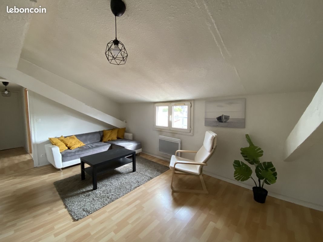 Appartement à louer, 60m², Saint-Etienne