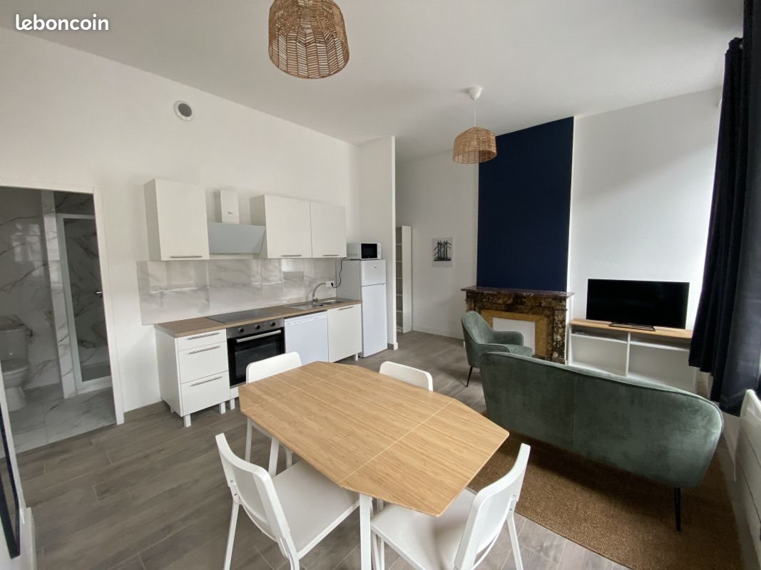 Appartement à louer, 52m², Saint-Etienne
