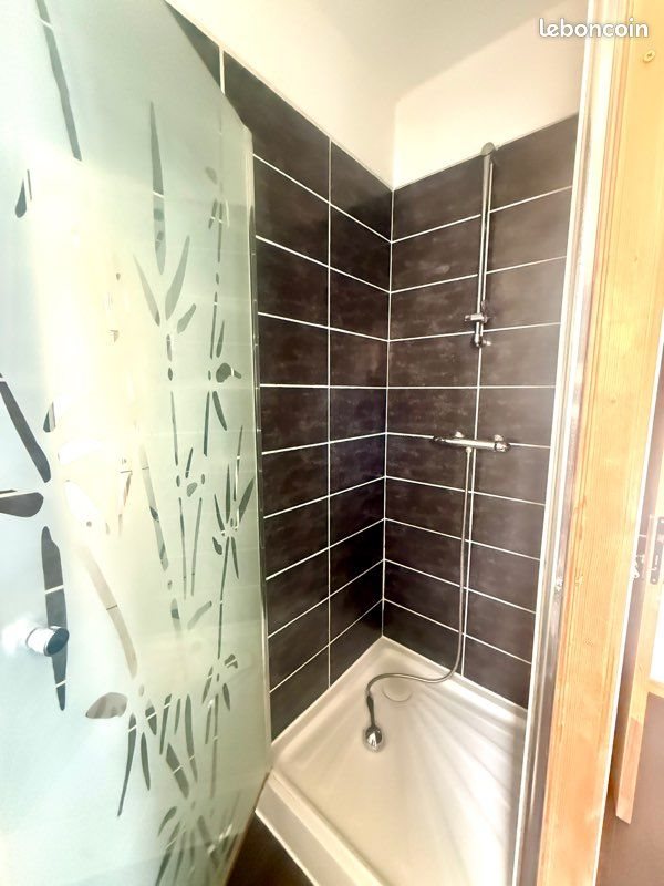 Appartement à louer, 30m², Lille