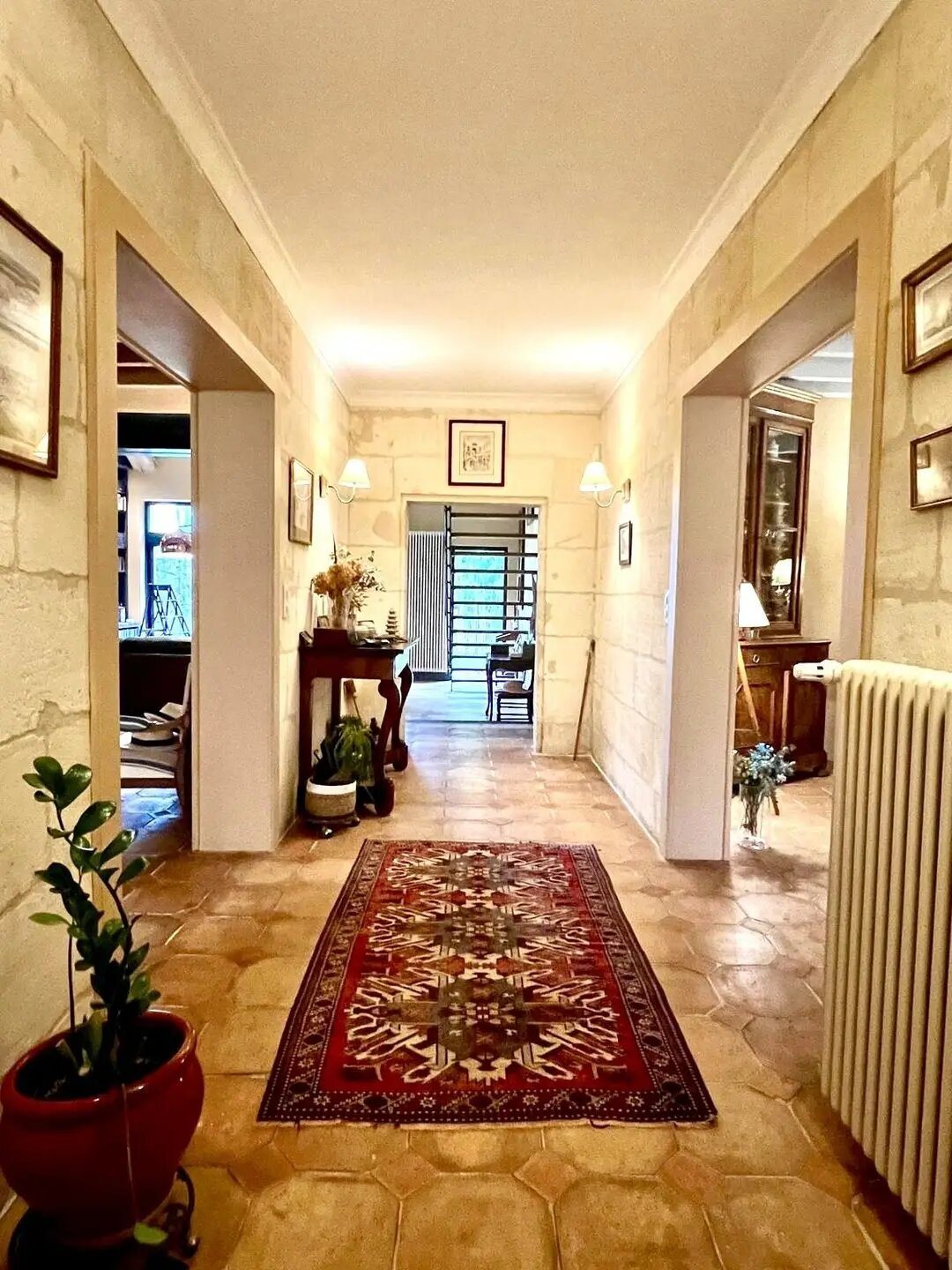 Maison à vendre, 550m², Saint-Laurent-d'Arce
