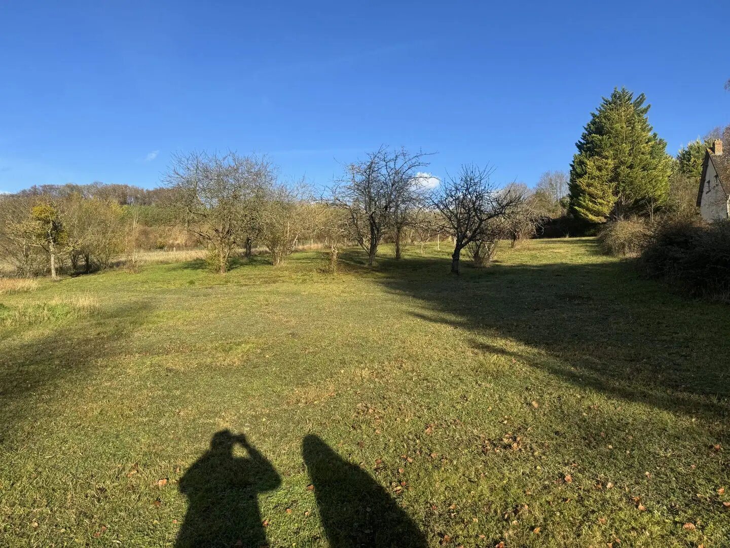 Maison à vendre, 330m², Saint-Martin-de-Boscherville