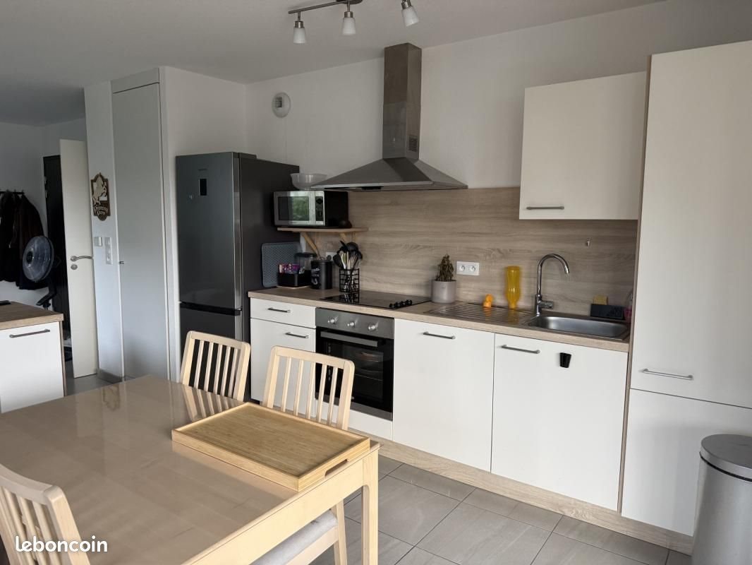 Appartement à louer, 46m², Kembs