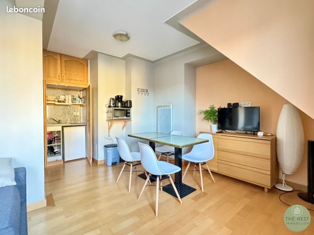 Appartement à louer, 29m², Colmar