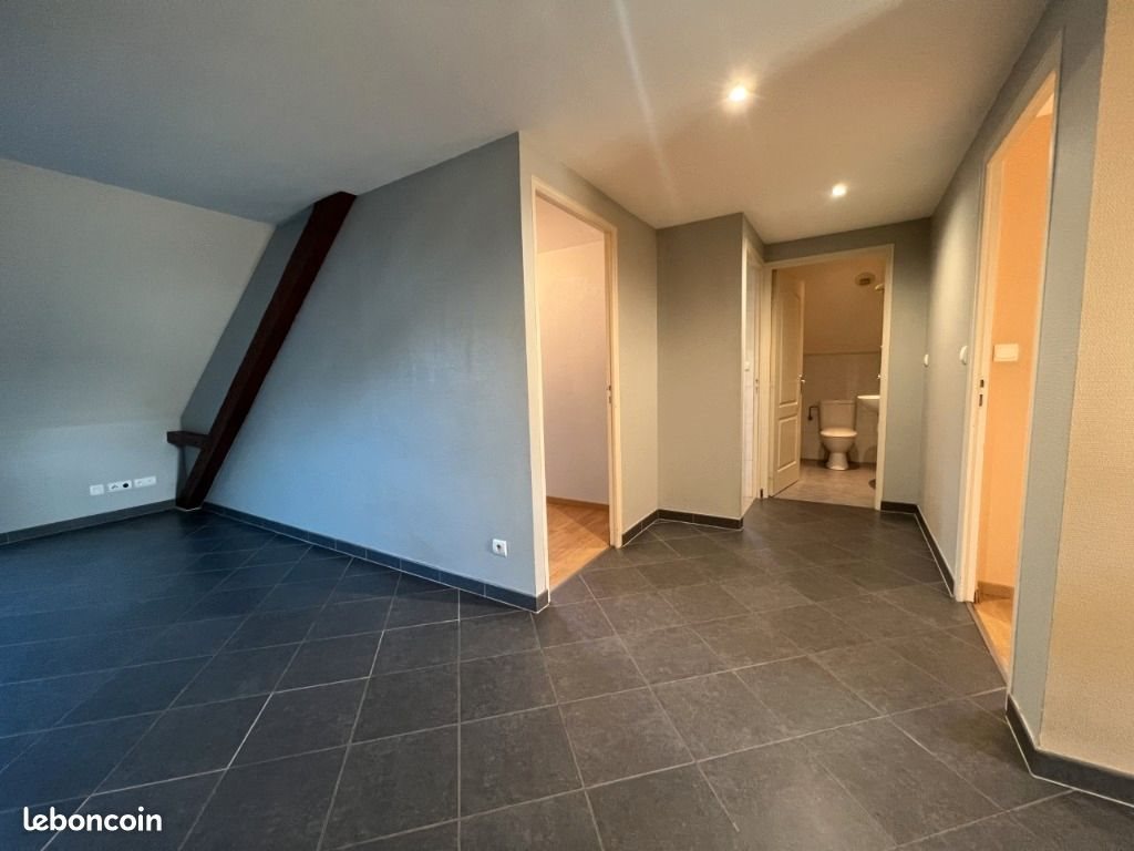 Appartement à louer, 44m², Colmar