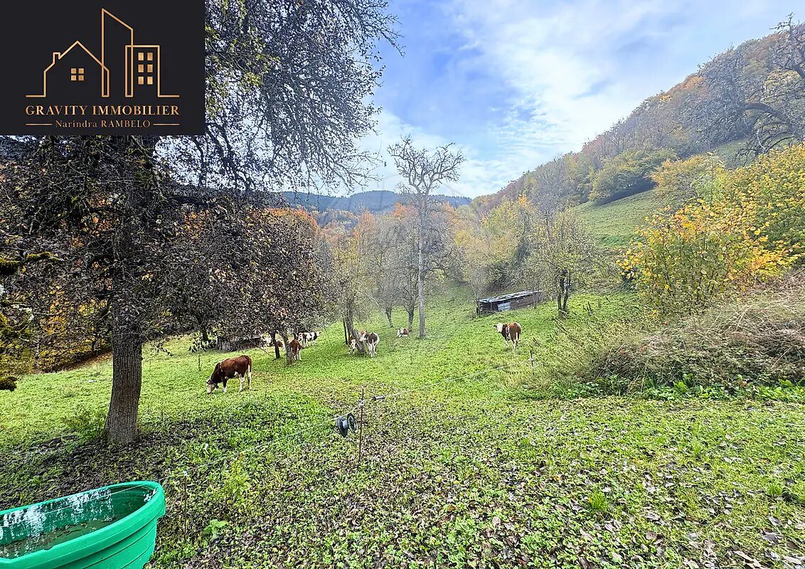 Maison à vendre, 190m², Arâches-la-Frasse (Les Carroz d'Arâches)