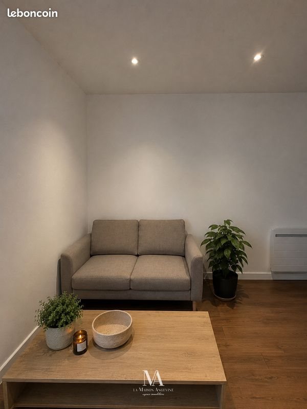 Appartement à louer, 34m², Angers