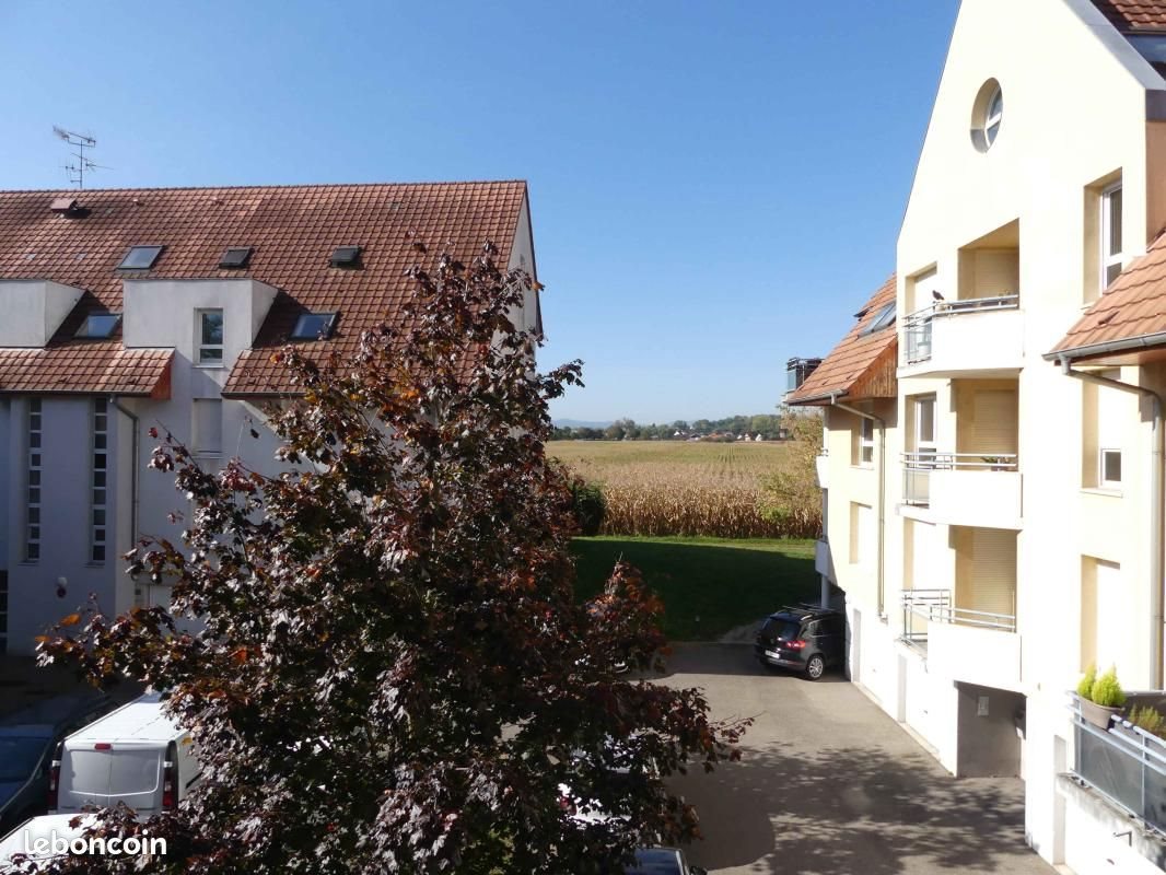Appartement à louer, 49m², Holtzheim