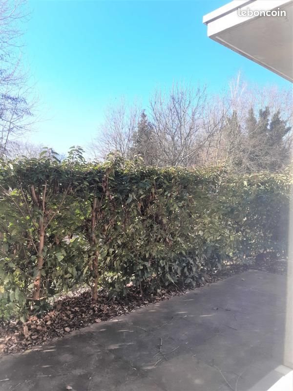 Appartement à louer, 46m², Metz