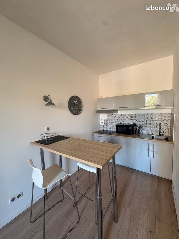 Appartement à louer, 33m², Lyon 7ème