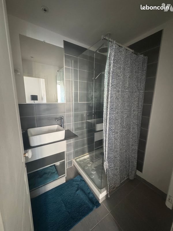 Appartement à louer, 33m², Lyon 7ème