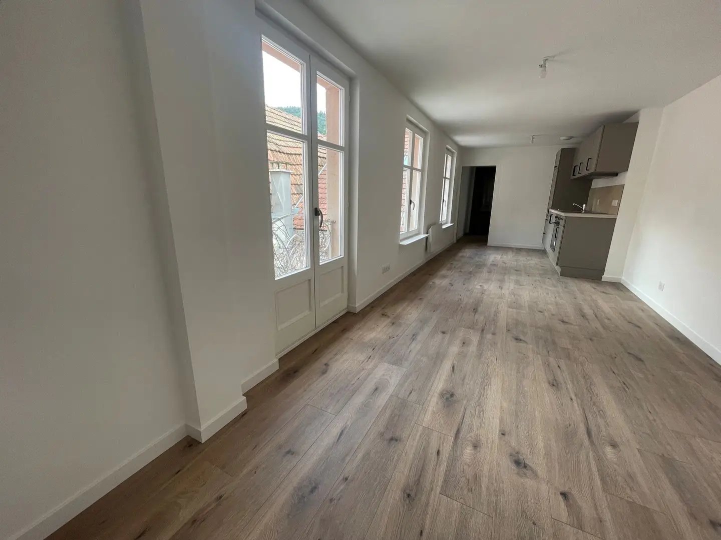 Appartement à louer, 41m², Thann