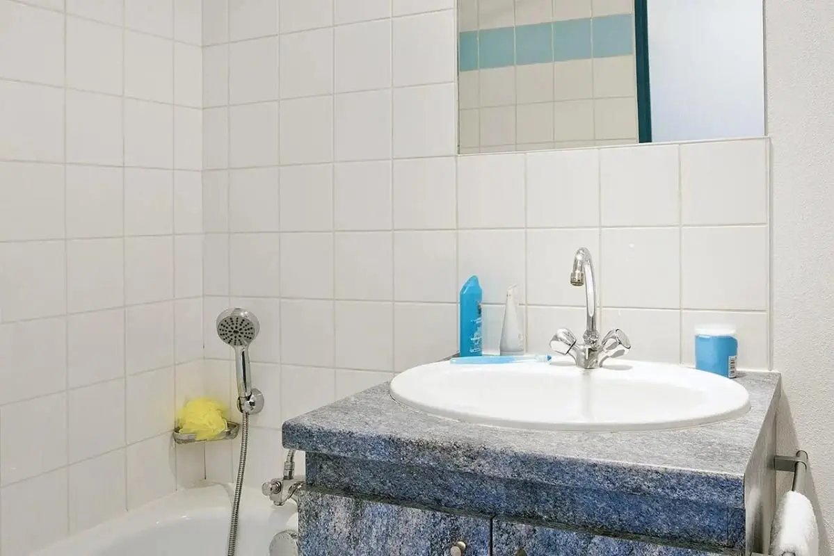Appartement à vendre, 19m², Nancy