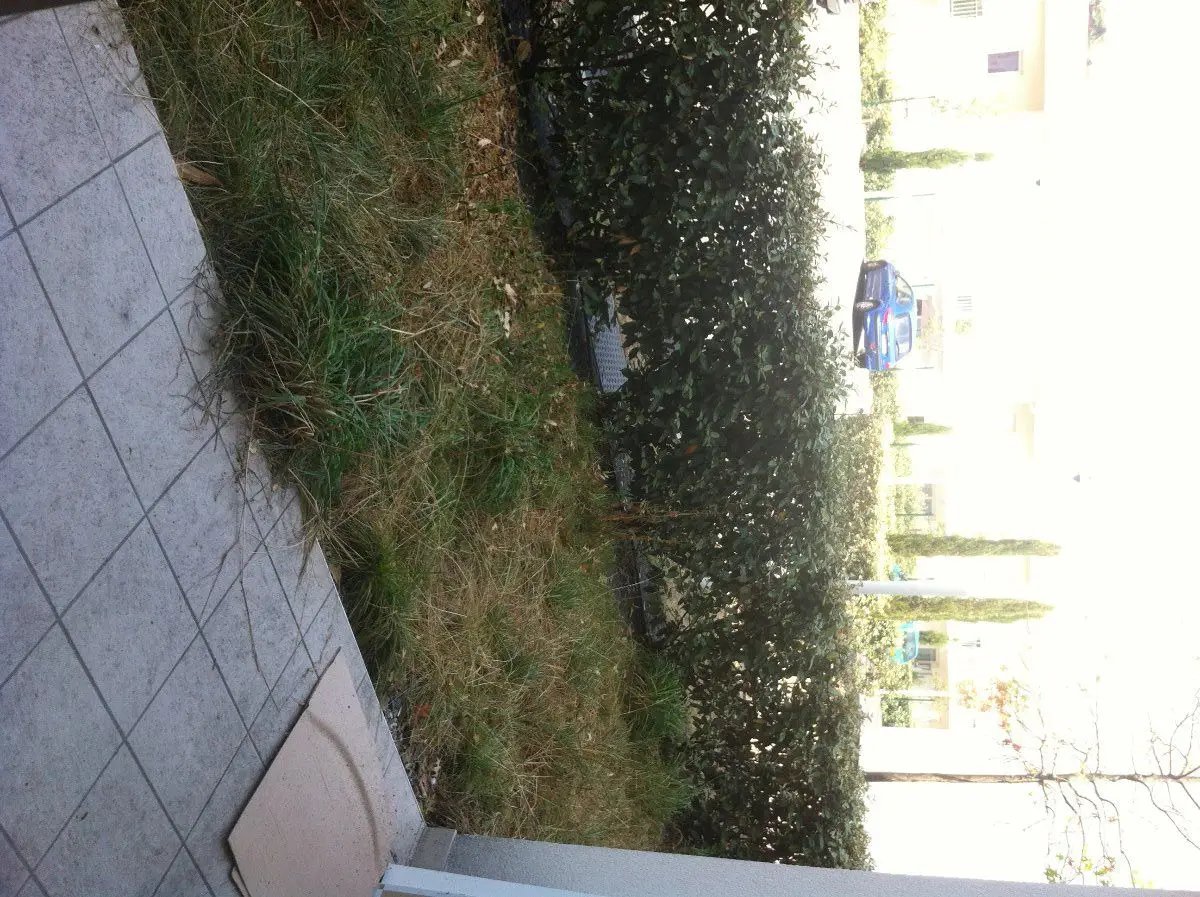 Appartement à louer, 37m², Le Bouscat