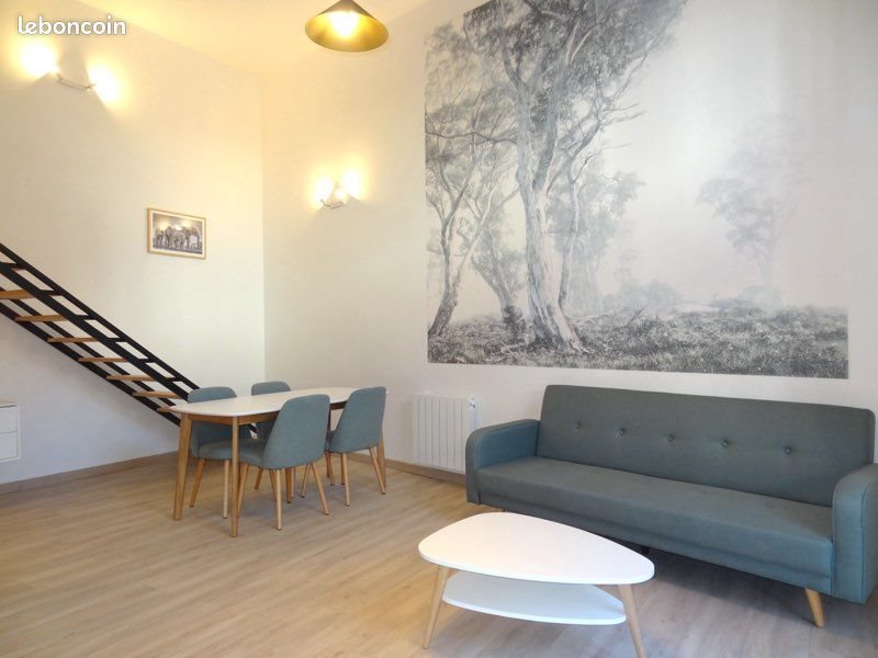 Appartement à louer, 51m², Lyon 3ème
