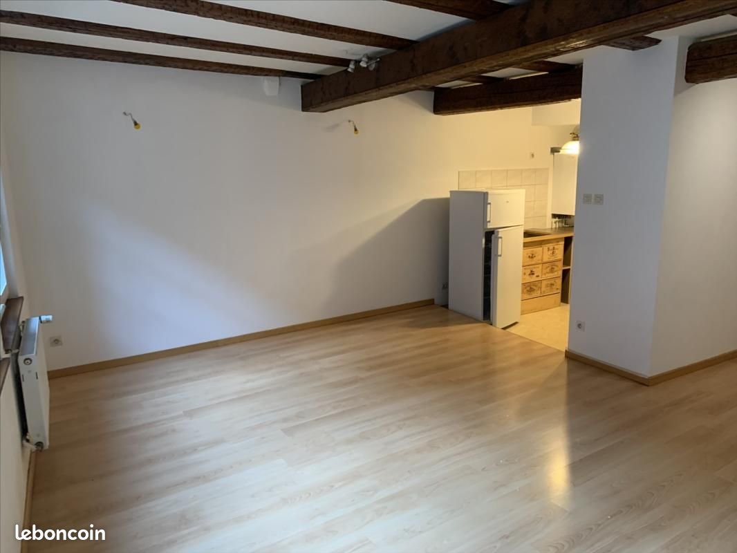 Appartement à louer, 60m², Colmar