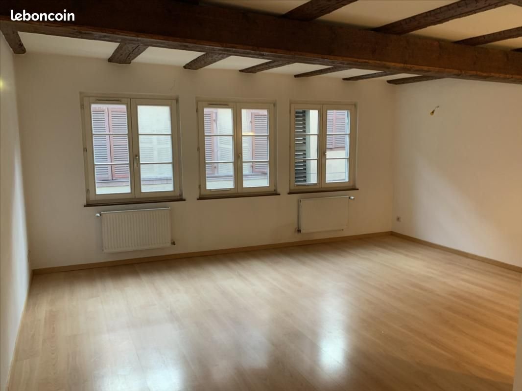 Appartement à louer, 60m², Colmar