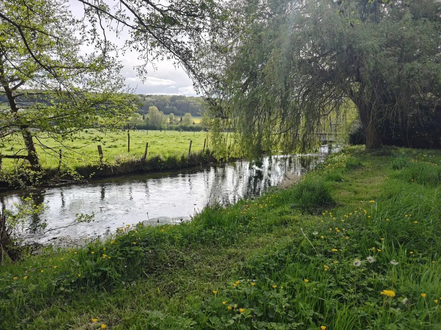 Maison à vendre, 49m², Orbec