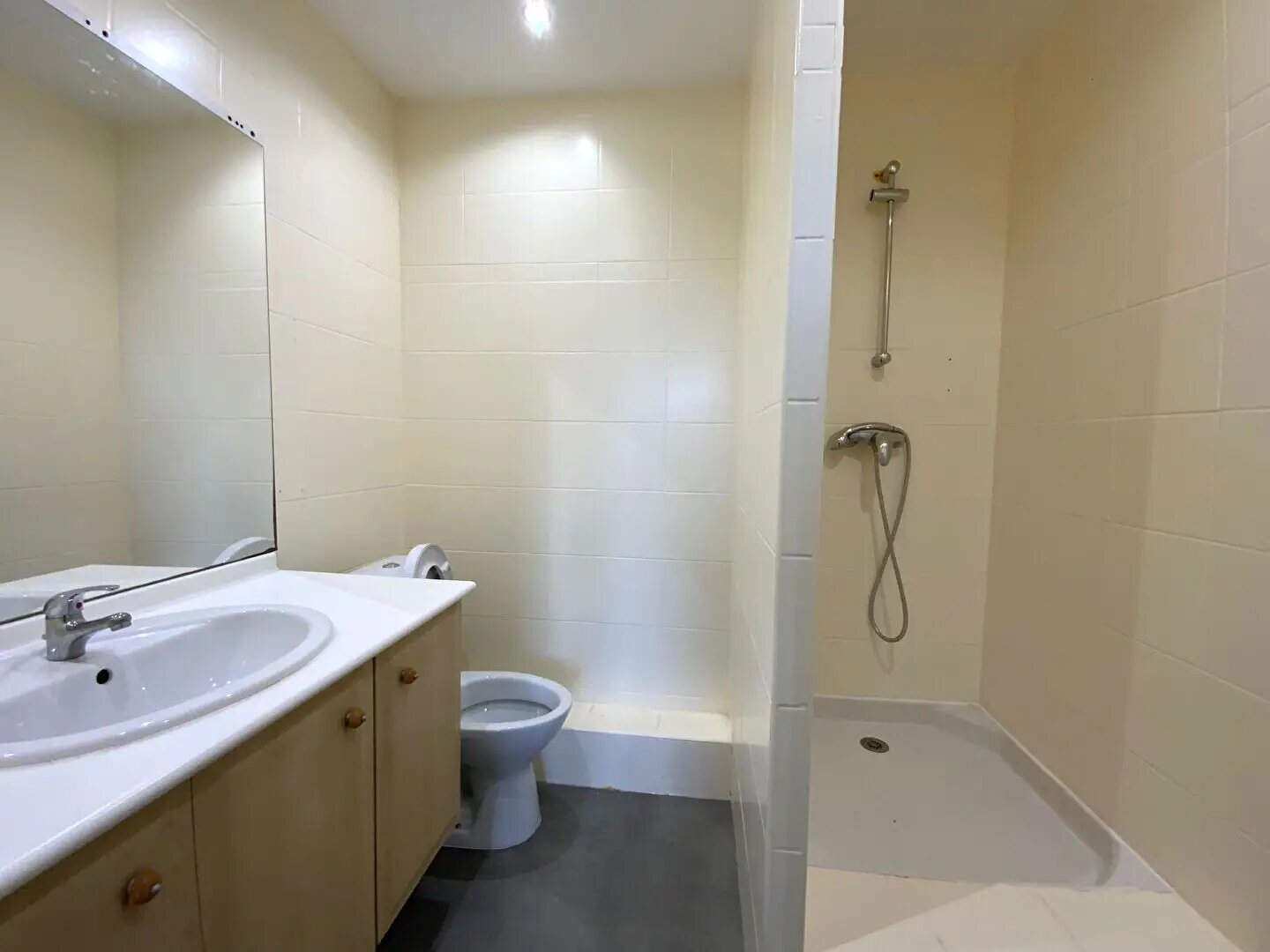 Appartement à vendre, 17m², Sainte-Savine