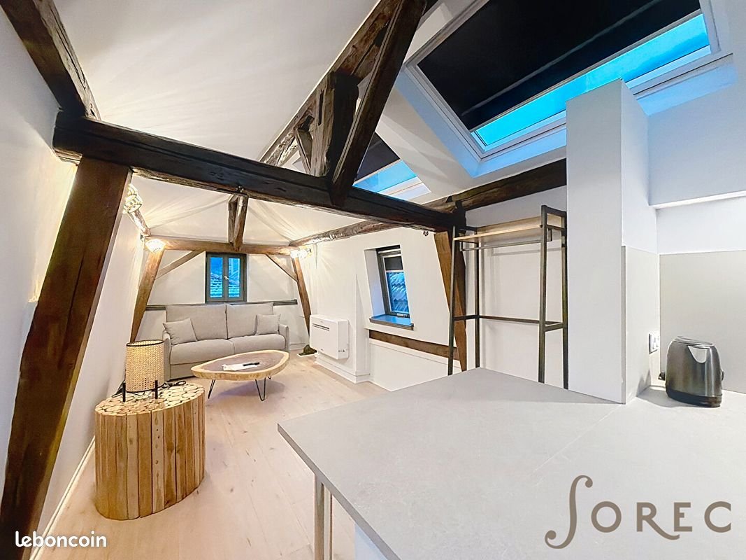 Appartement à louer, 24m², Metz