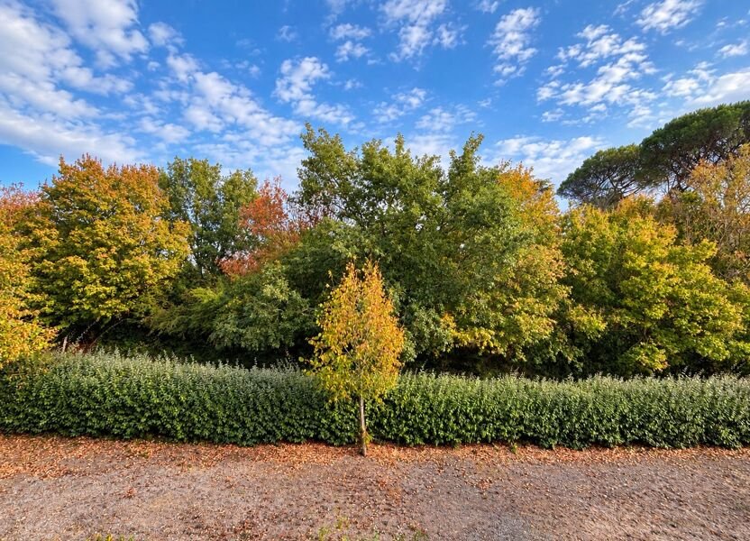 Appartement à louer, 31m², Saint-Geniès-Bellevue