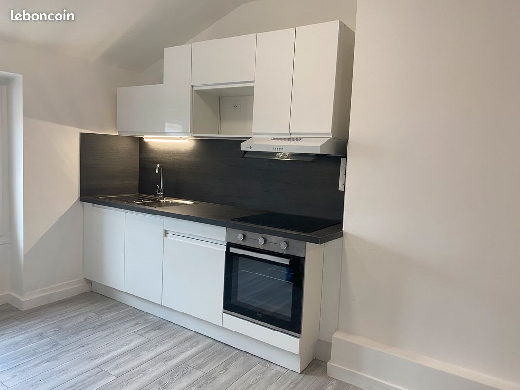 Appartement à louer, 49m², La Talaudière