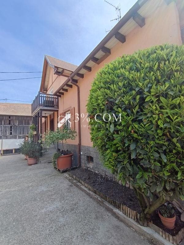 Maison à vendre, 300m², Stotzheim