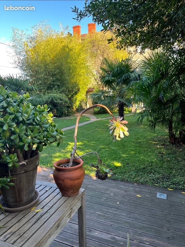Maison à vendre, 178m², Mâcon