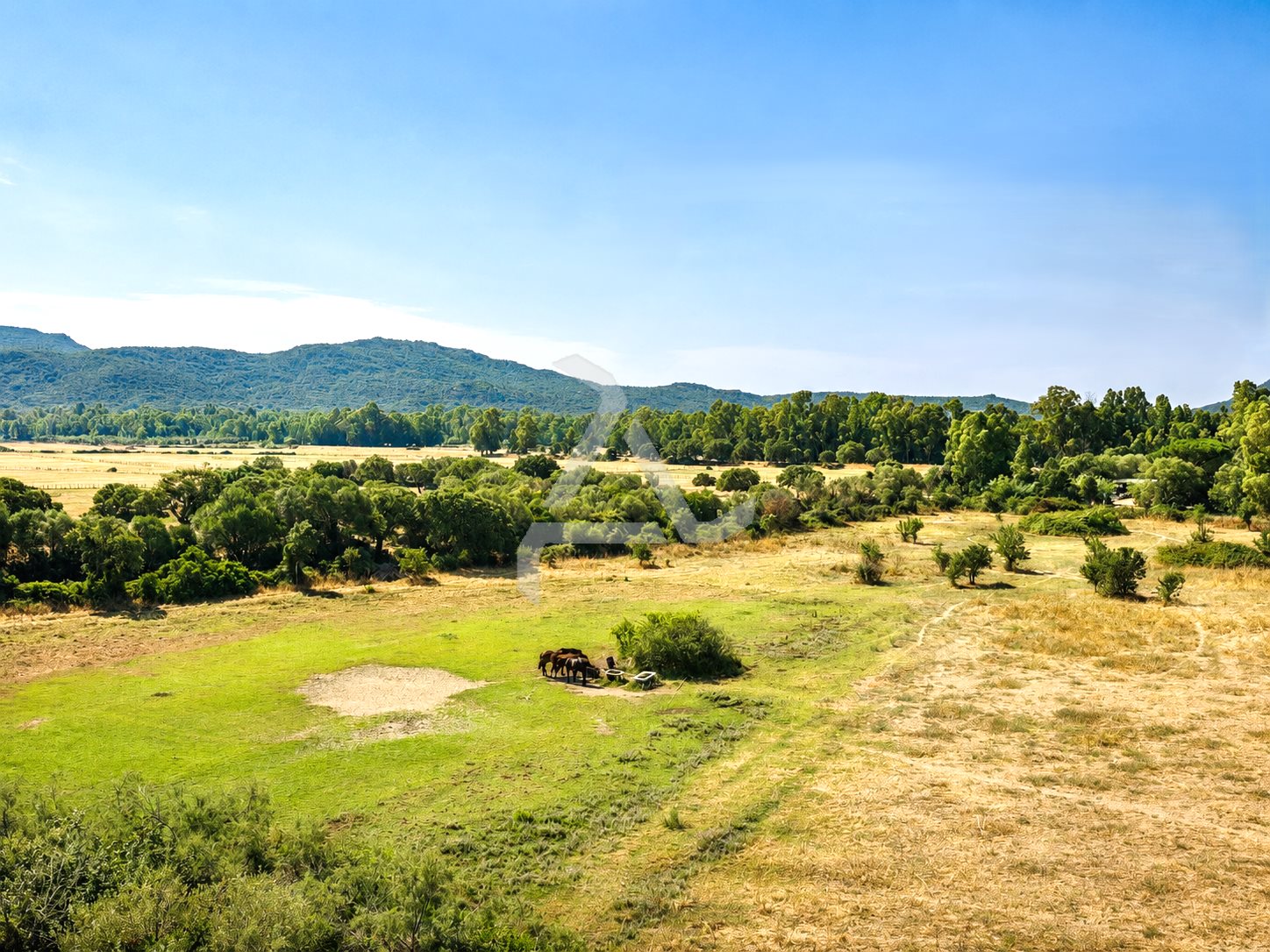 Appartement à vendre, 51m², Porto-Vecchio