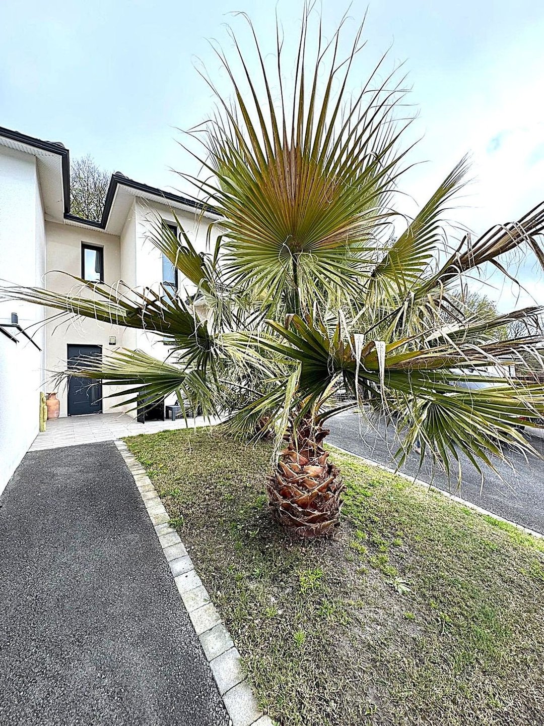 Maison à vendre, 142m², Tresses