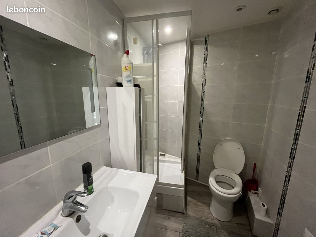 Appartement à vendre, 17m², Saint-Étienne