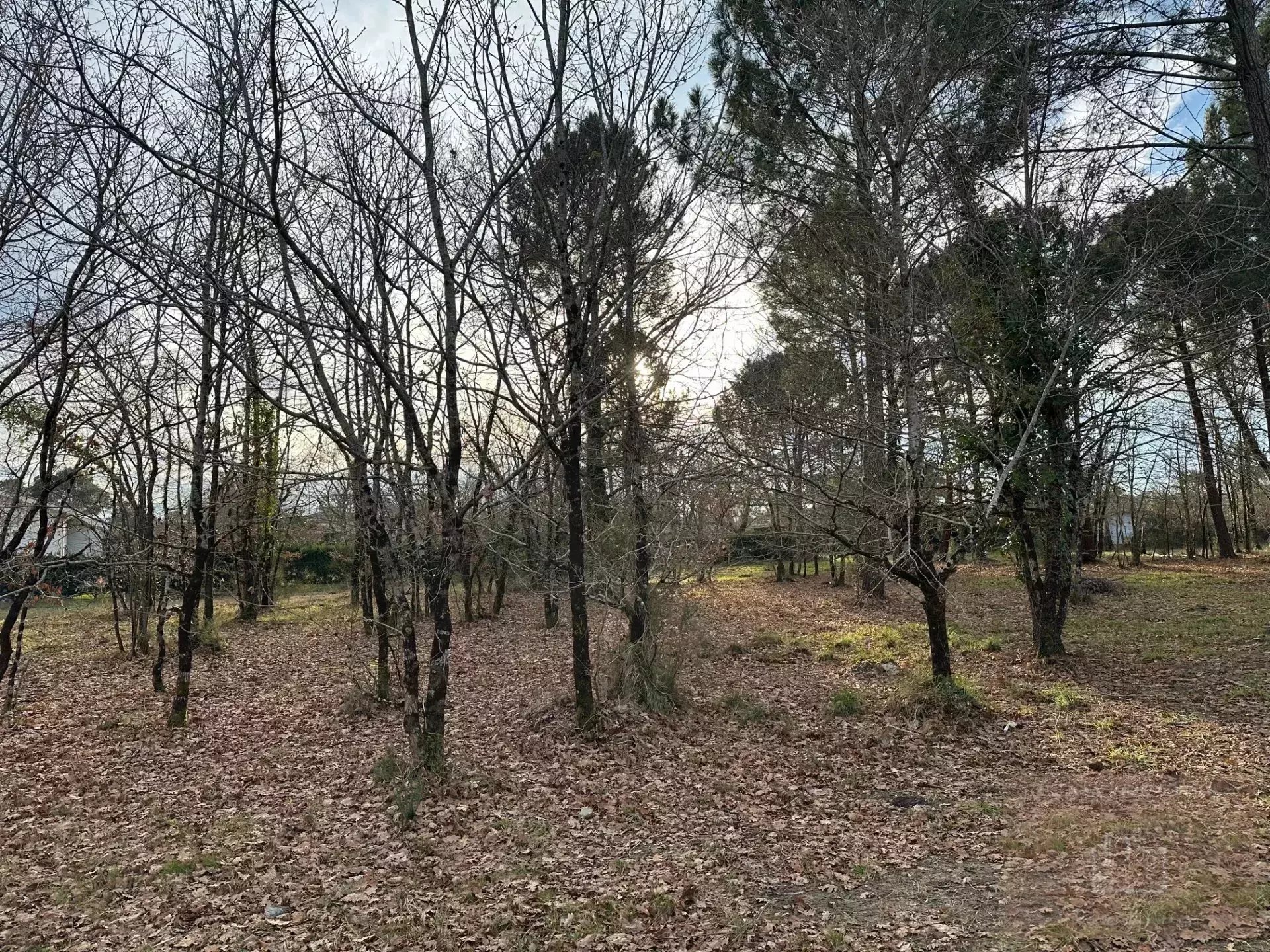 Maison à vendre, 800m², Gujan-Mestras