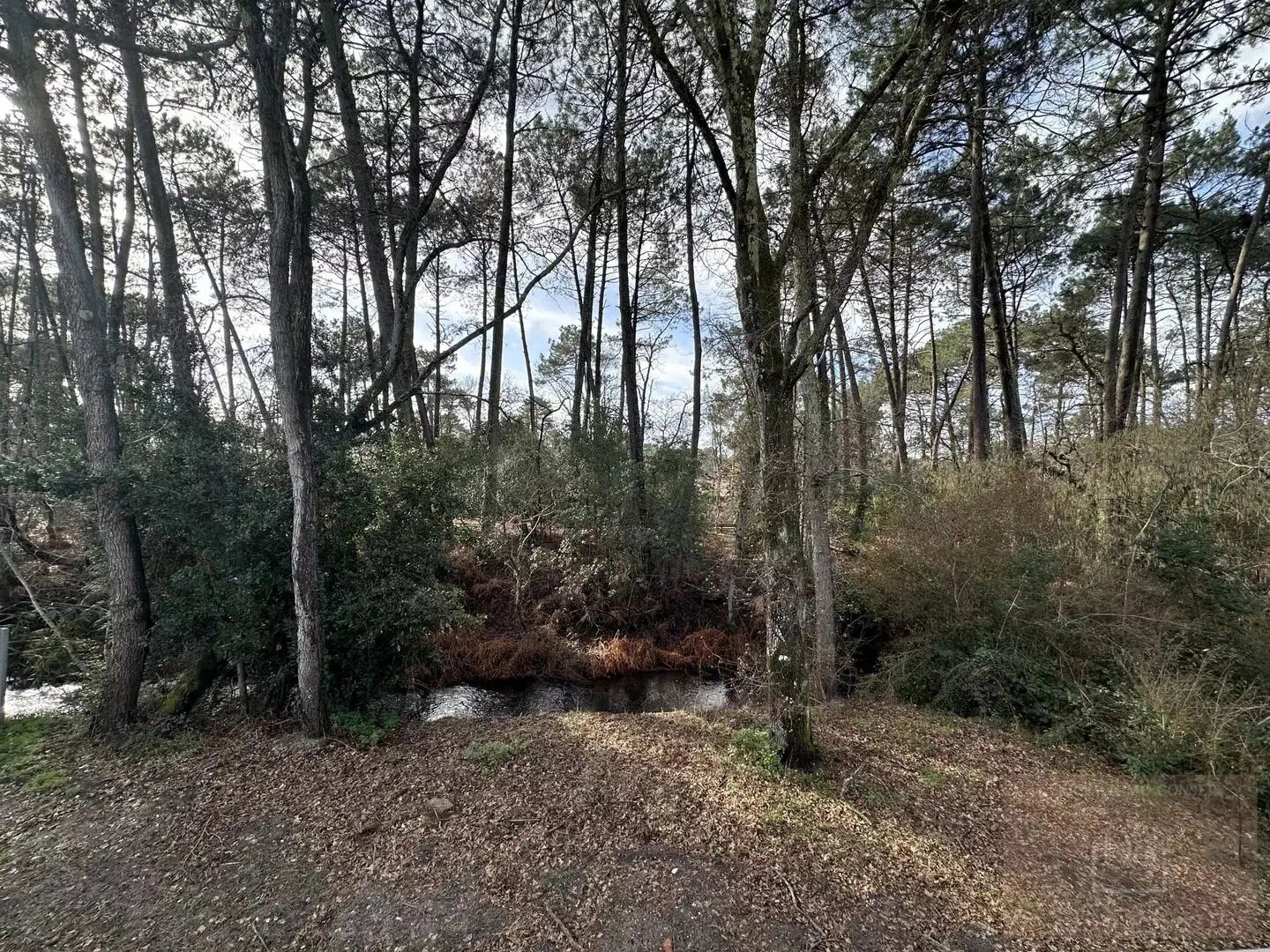 Maison à vendre, 110m², Le Teich