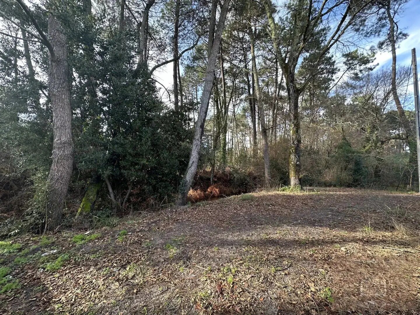 Maison à vendre, 110m², Le Teich