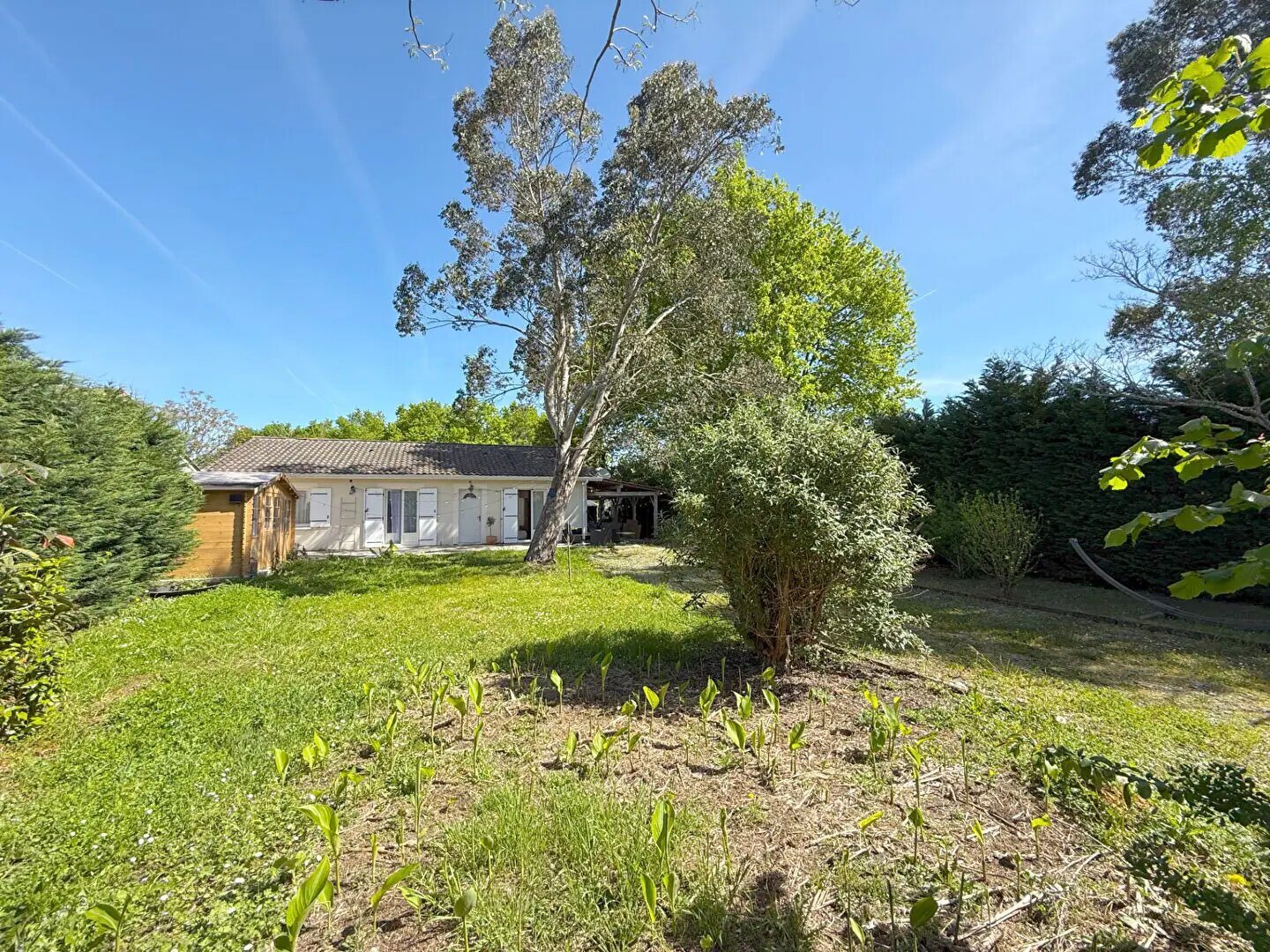 Maison à vendre, 100m², Belin-Béliet