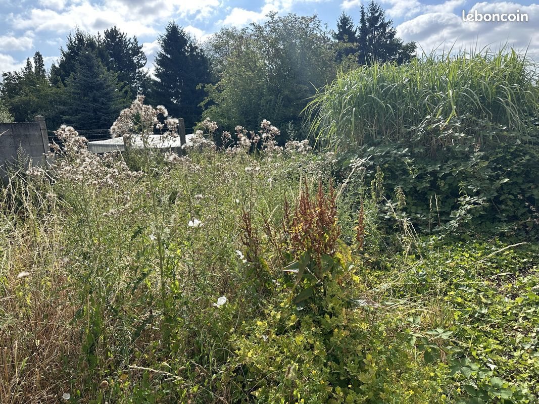 Maison à vendre, 80m², La Sentinelle