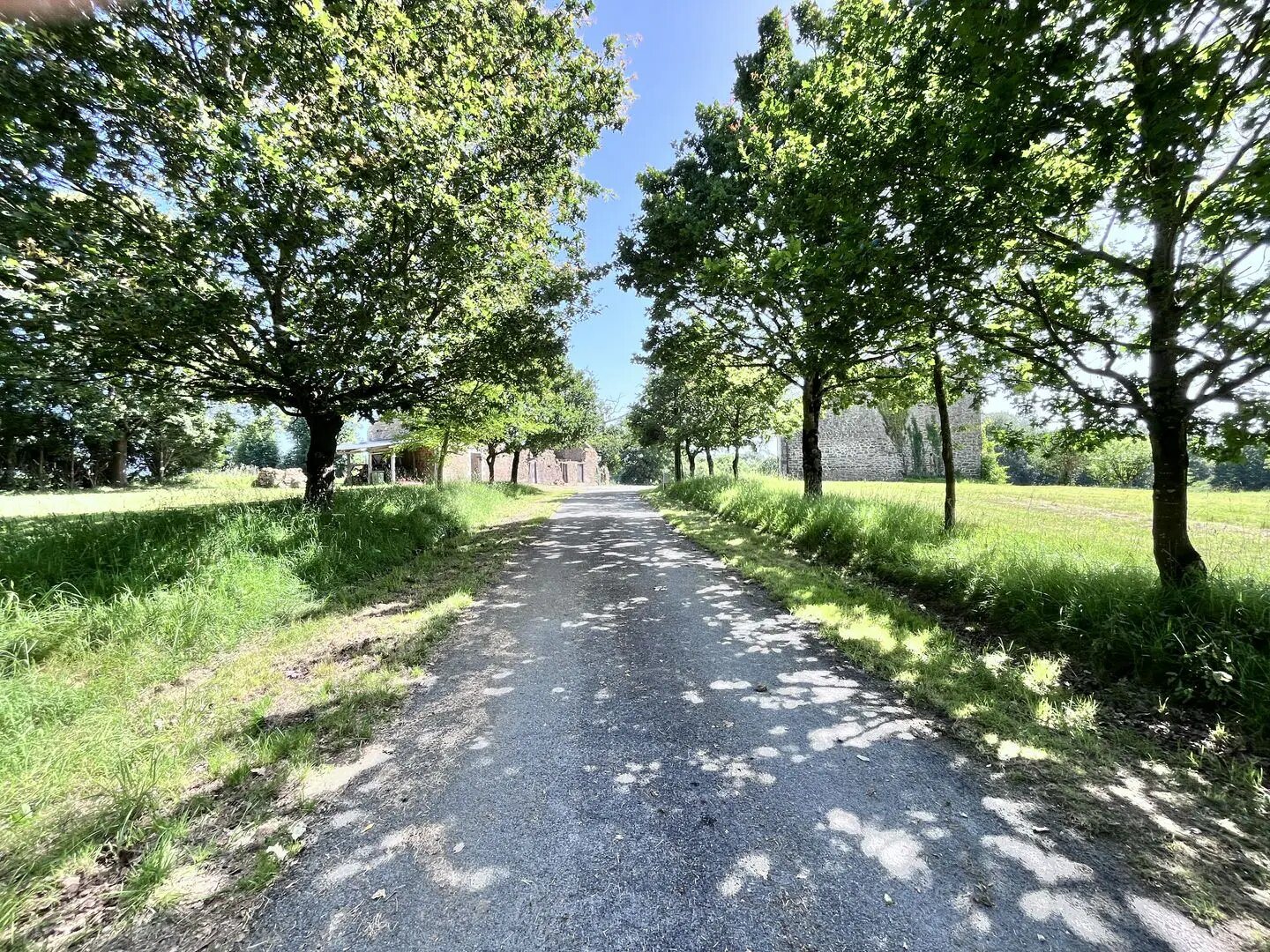 Maison à vendre, 220m², Calorguen
