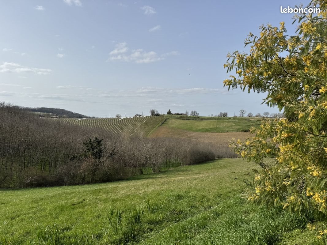 Maison à vendre, 159m², Montesquieu