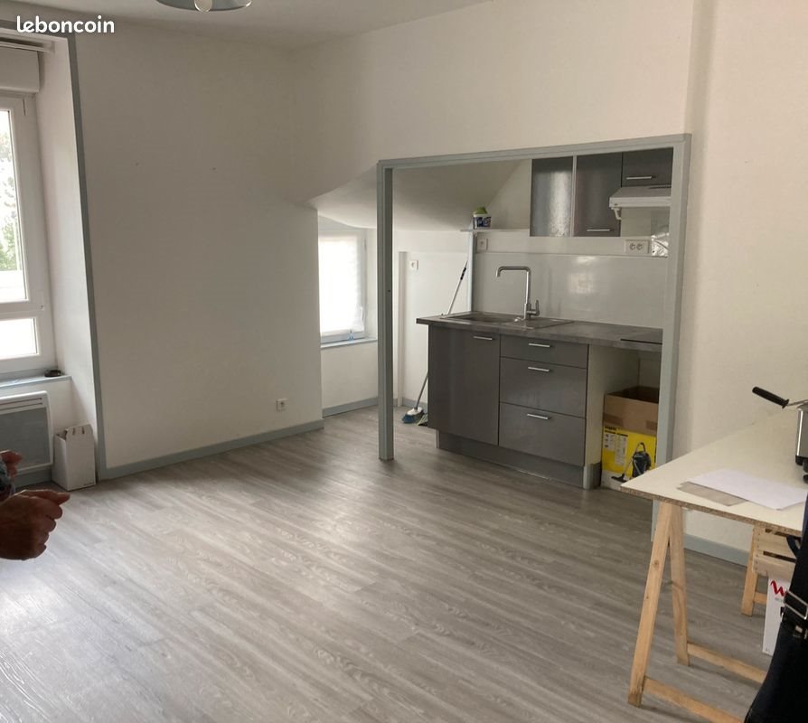 Appartement à louer, 39m², Nantes