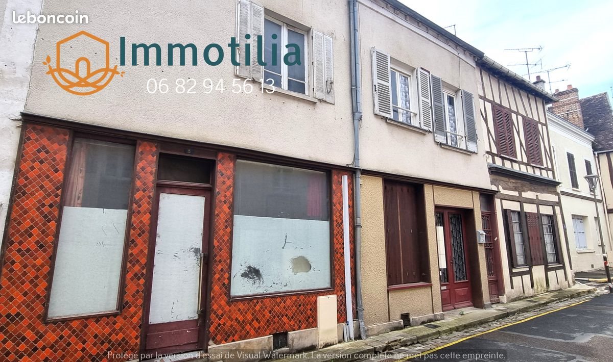 Maison à vendre, 205m², Bray-sur-Seine