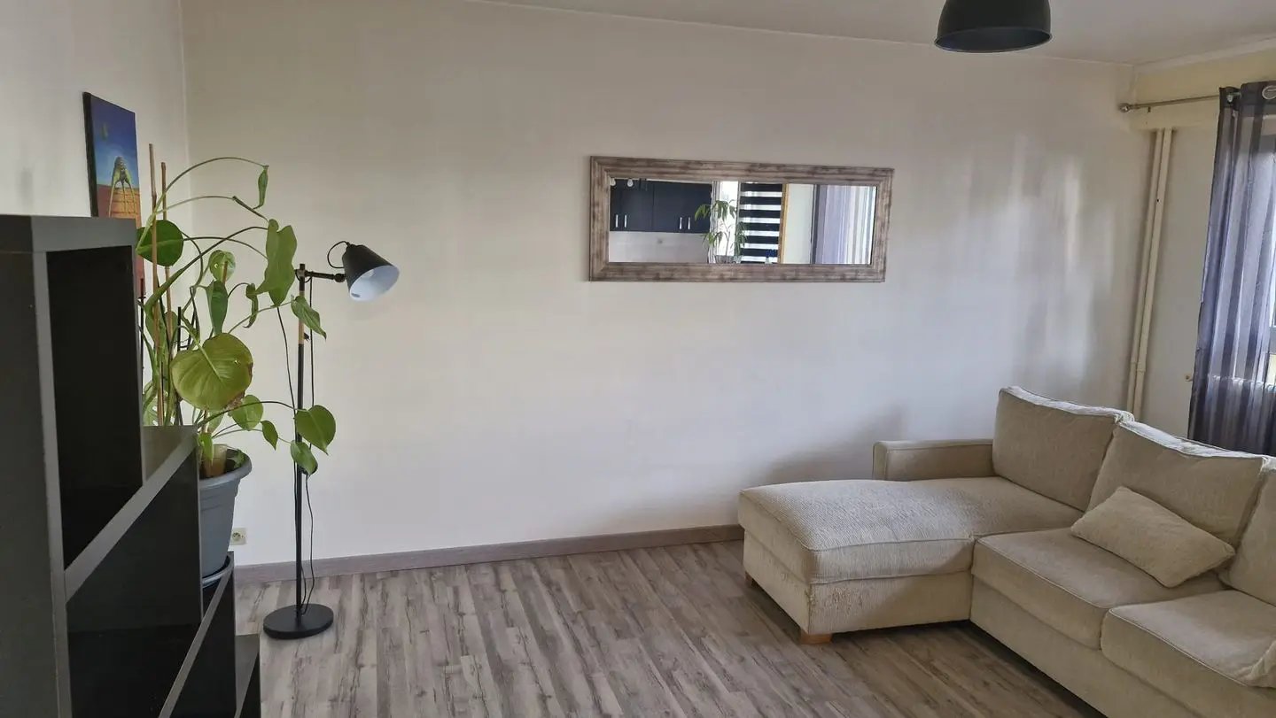 Appartement à vendre, 46m², Laxou