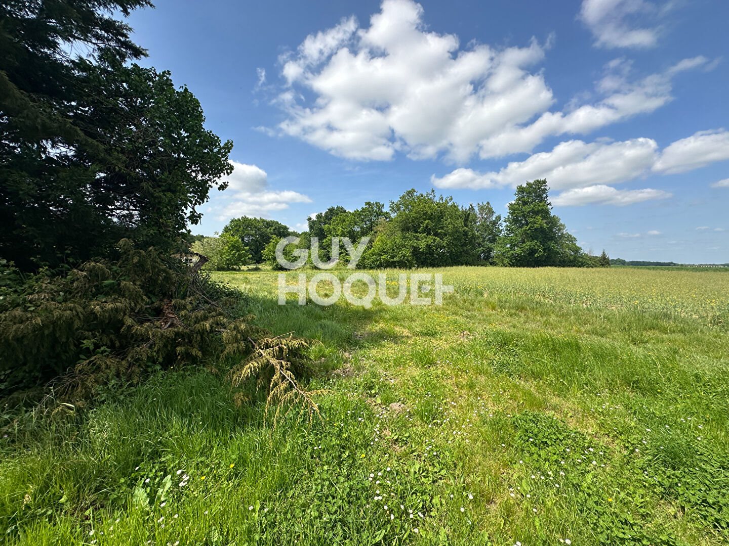 Maison à vendre, 124m², Sainte-Gemme