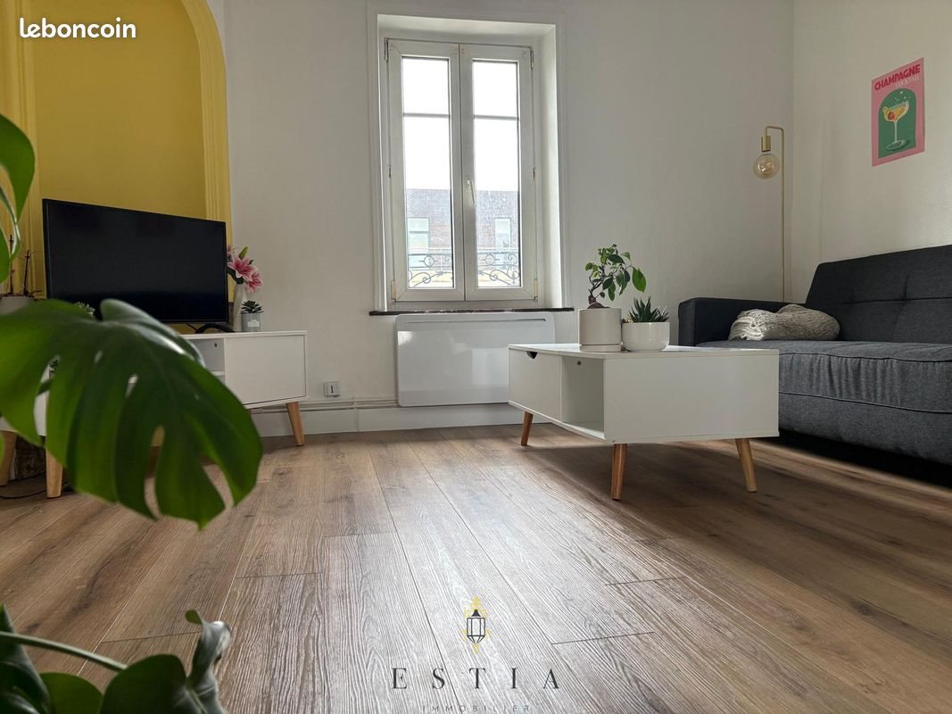 Appartement à vendre, 48m², Nancy