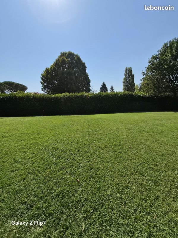 Maison à vendre, 131m², Gaillac