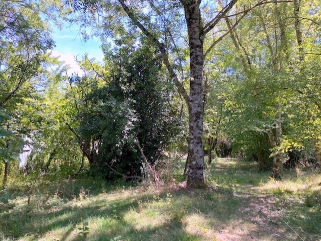 Maison à vendre, 100m², Cerisiers