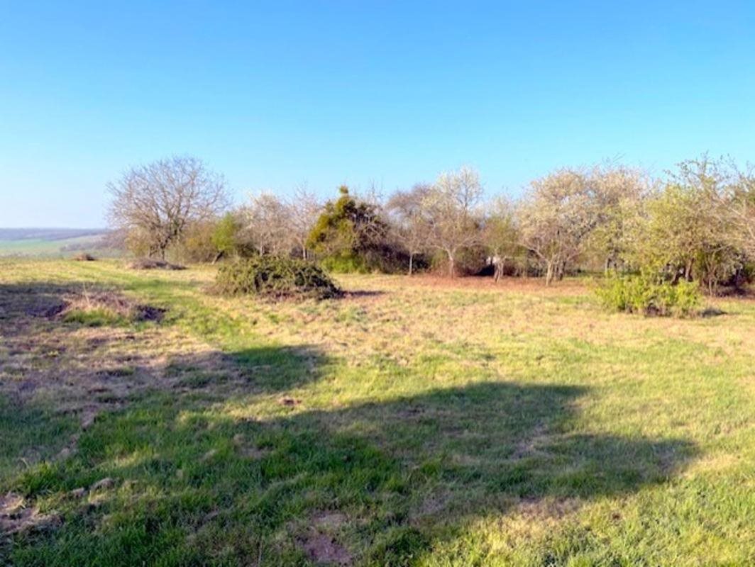 Maison à vendre, 65m², Cerisiers