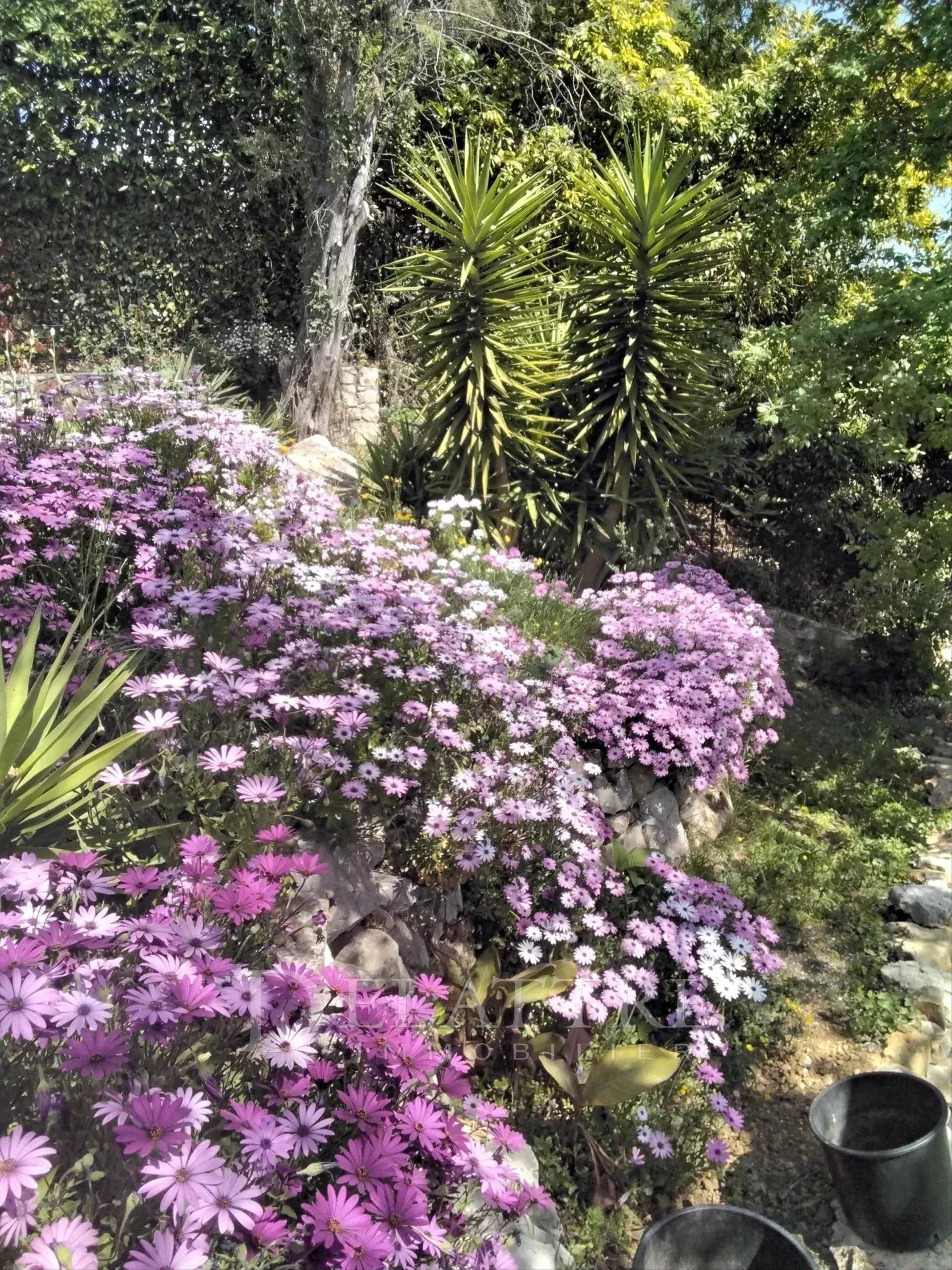Maison à vendre, 156m², Châteauneuf-Grasse