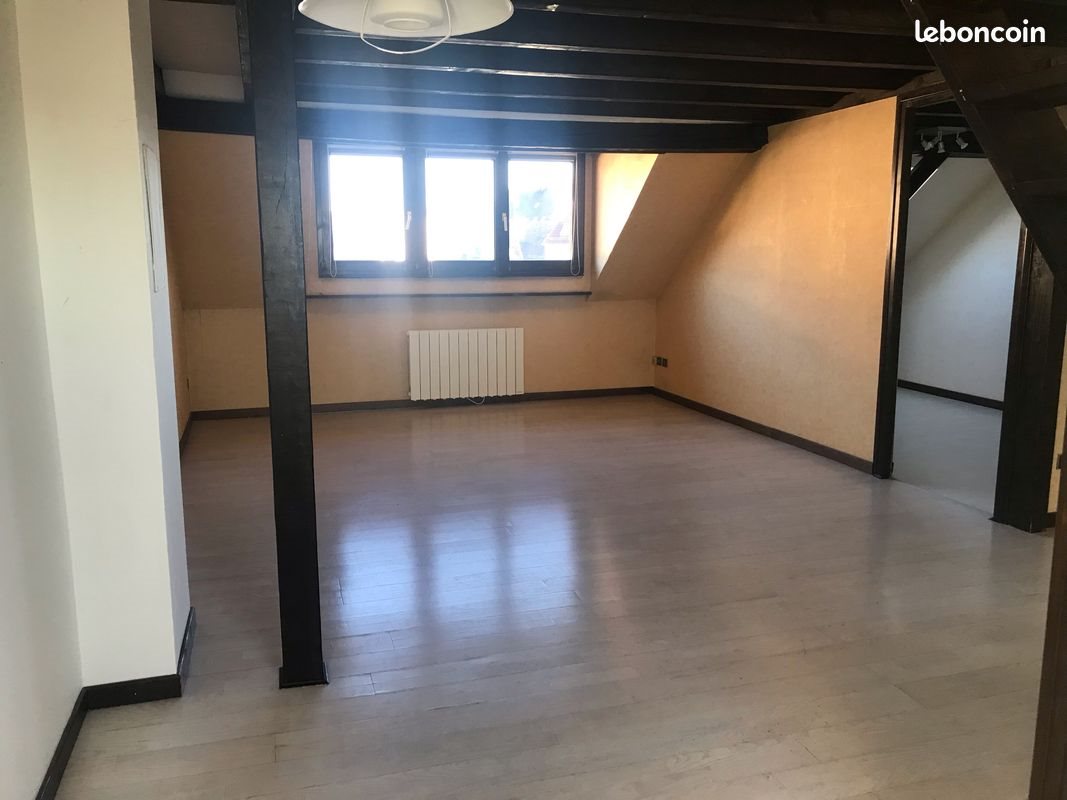 Appartement à louer, 44m², Strasbourg