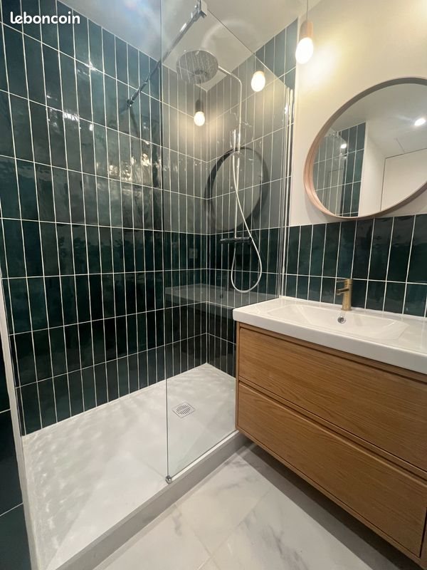 Appartement à louer, 43m², Villeurbanne