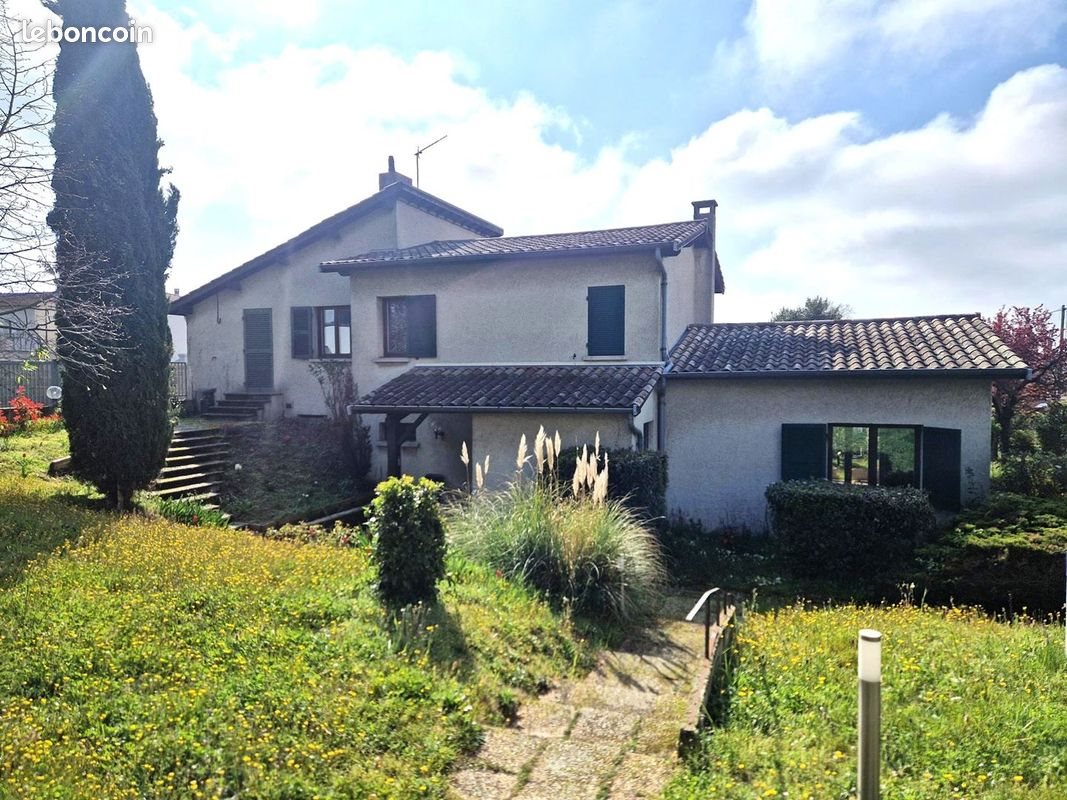 Maison à vendre, 315m², Chanas